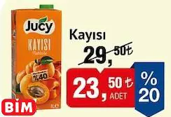 JUCY MEYVE NEKTARI KAYISI 1 L JUCY MEYVE NEKTARI KAYISI 1 L